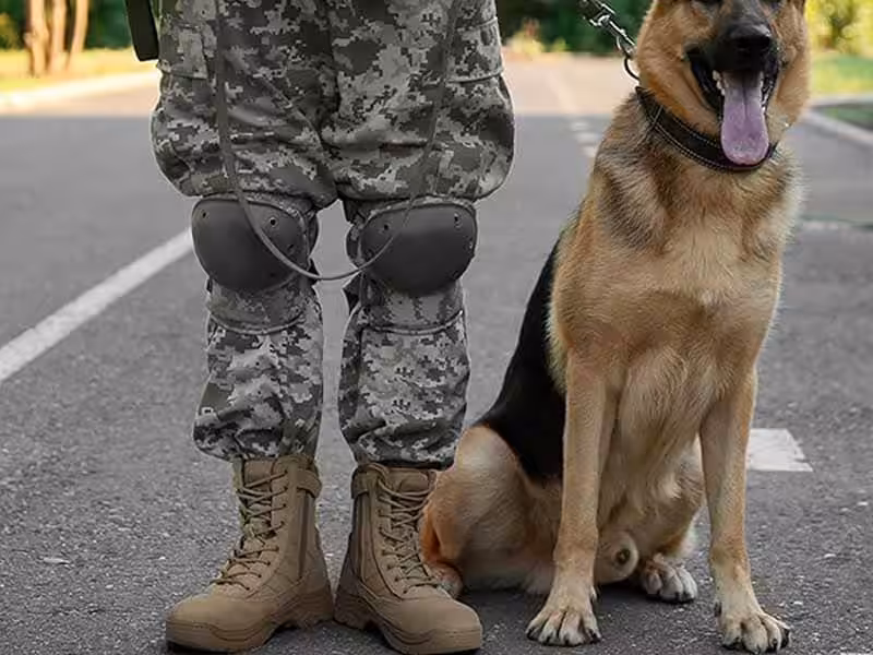 A man wearing military boots and a dog.
