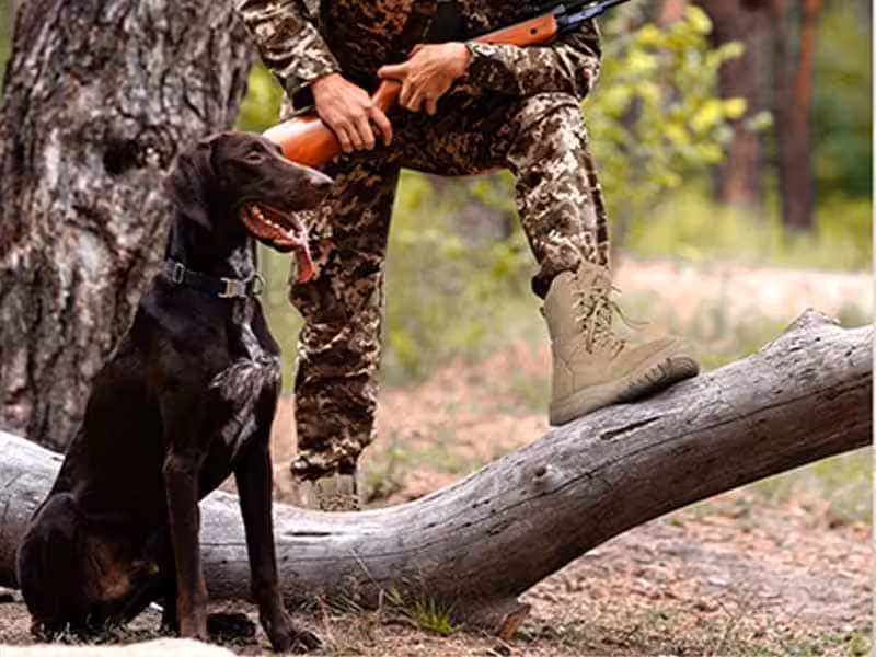 A person wearing tactical boots and a dog.