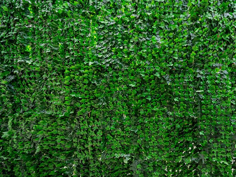 Green woodland camouflage net for outdoor concealment