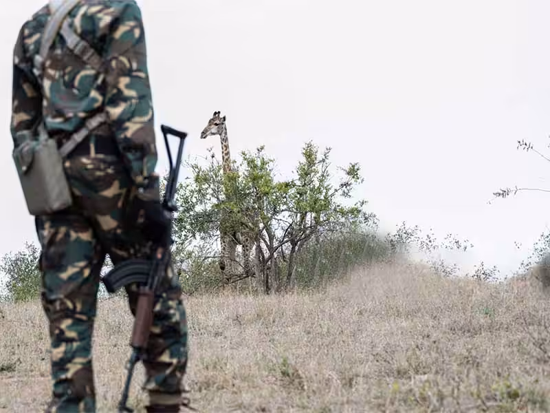 A soldier holding a gun.