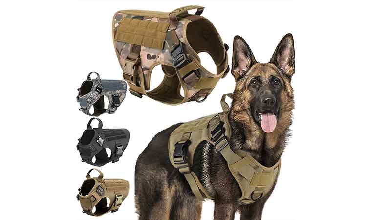 Tactical dog harness structure with MOLLE webbing and reinforced stitching