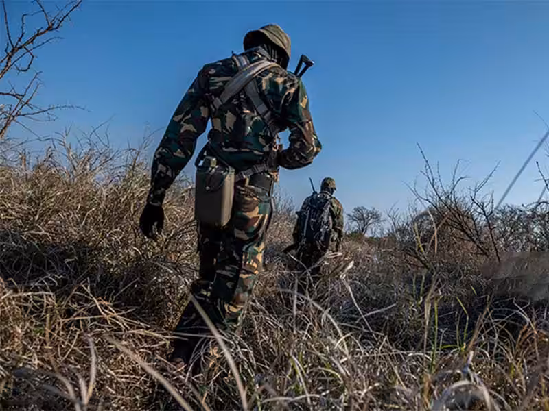 Two soldiers on patrol