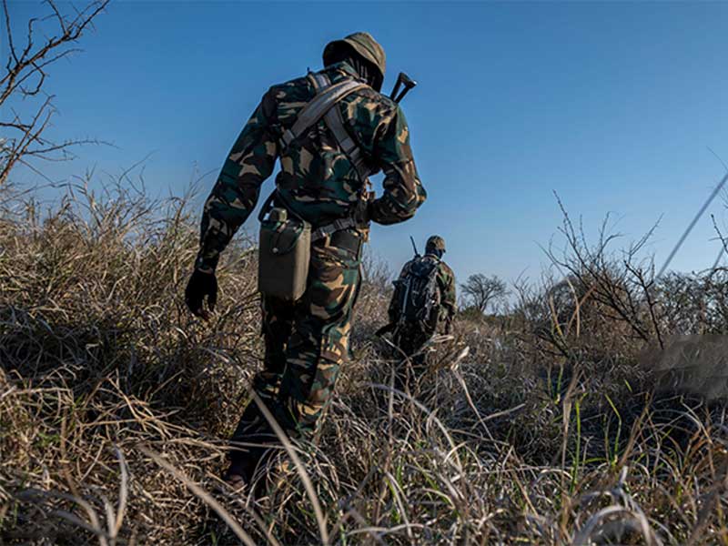 Two soldiers on patrol